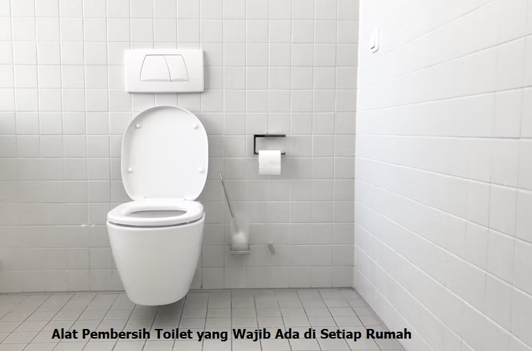 alat pembersih toilet